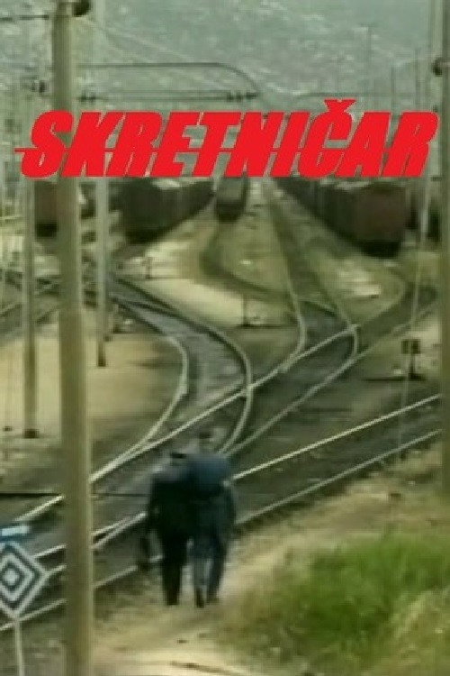 The Switchman Poster