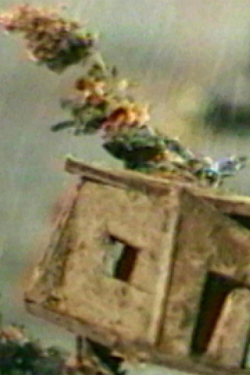 The Hundred Videos #4 Poster