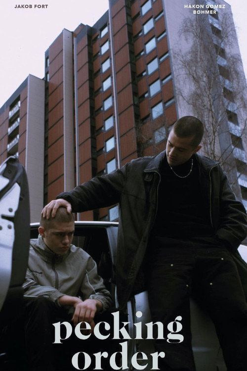 Pecking Order Poster