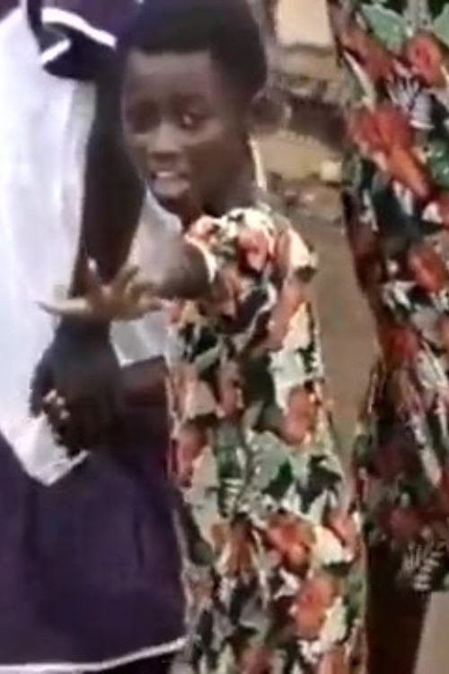 Passing Girl, Riverside: an Essay on Camera Work Poster