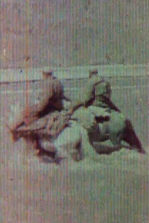 Sherriff Kodacolour No. 1 Poster