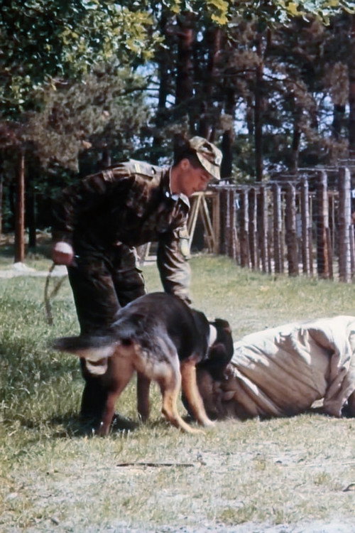 Border Tracking Poster