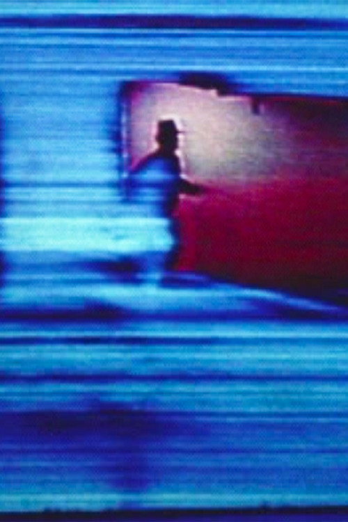 < < Bridge > > Poster