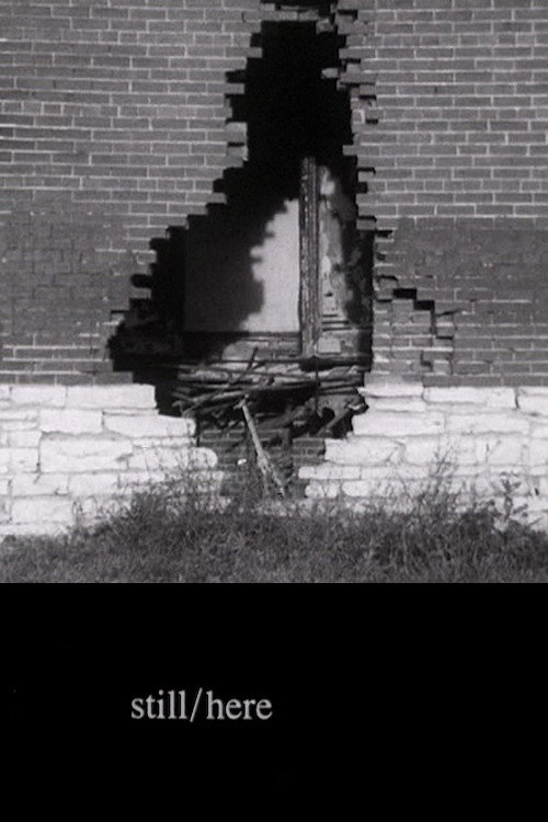 still/here Poster