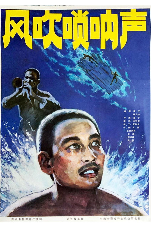 风吹唢呐声 Poster