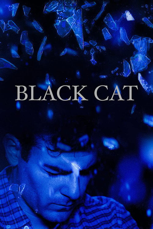Black Cat Poster