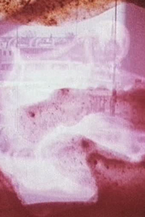 Aliena Kadabra Poster