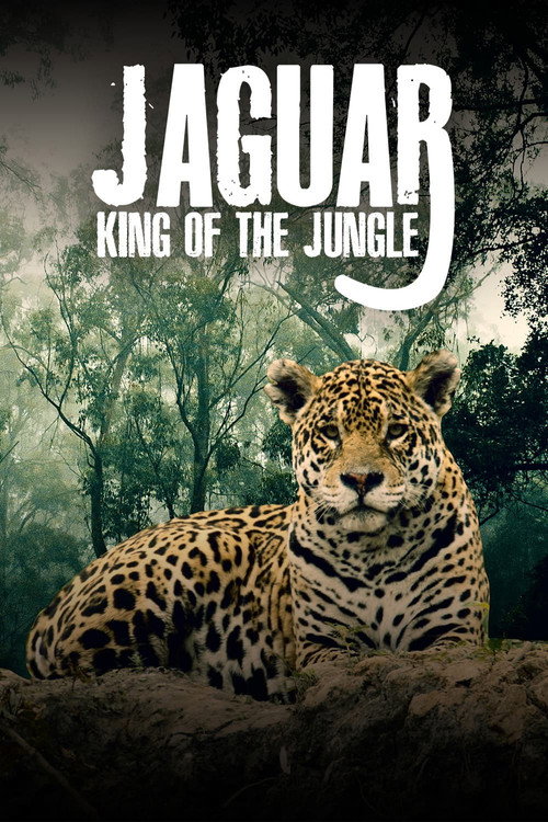 Jaguar: King of the Jungle Poster