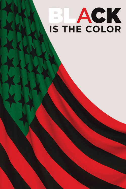 Black Is the Color: African-American Artists and Segregation Poster