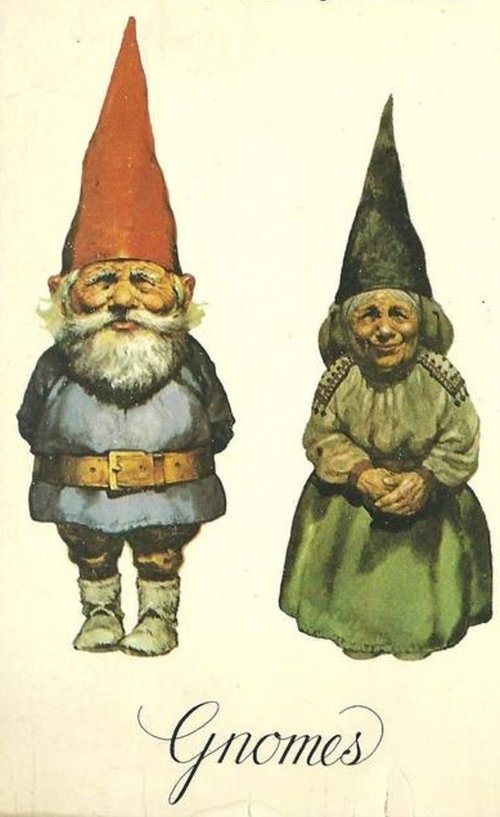 Gnomes Poster