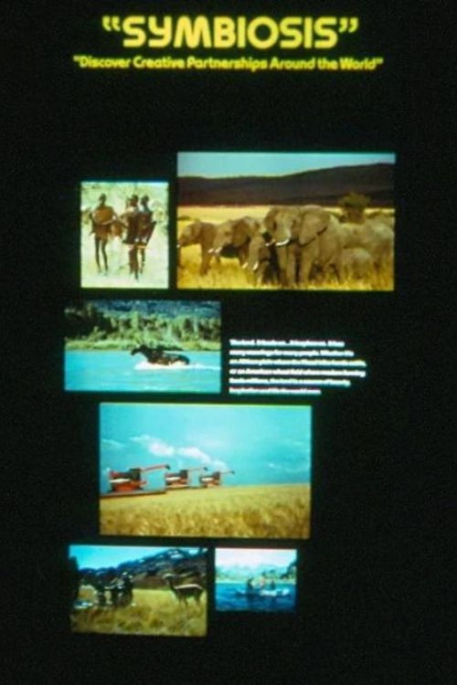 Symbiosis Poster