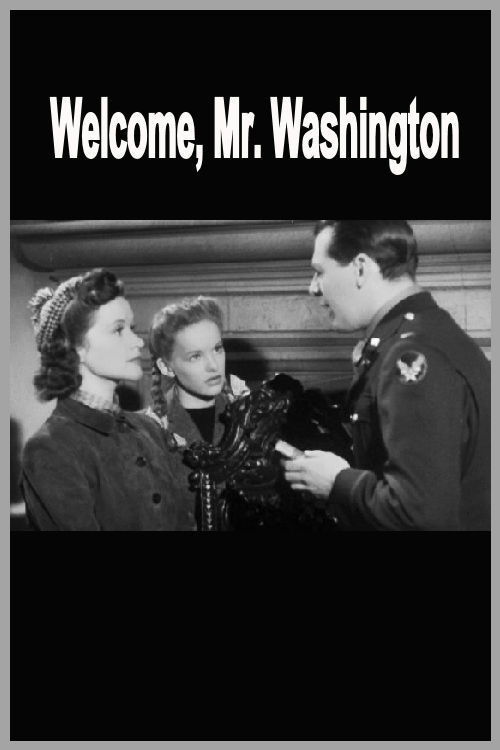 Welcome, Mr Washington Poster