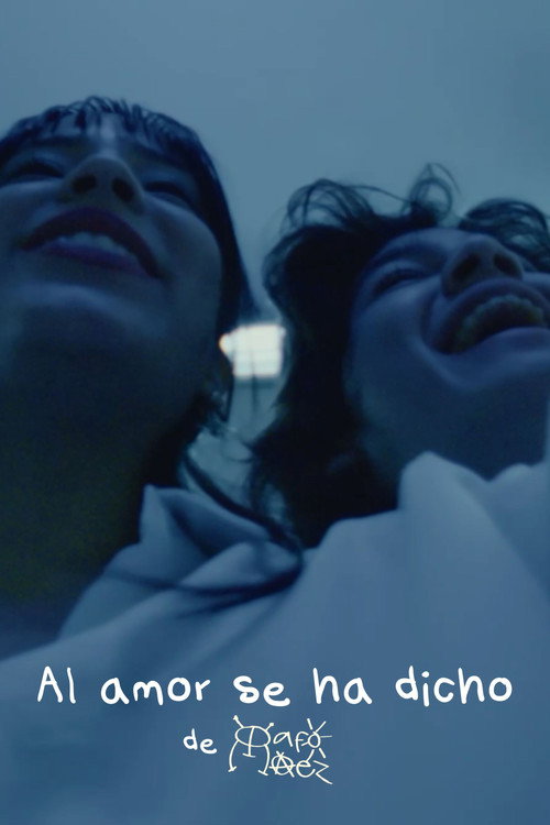 Al amor se ha dicho Poster