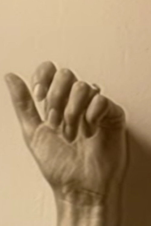 Introduction to Summer Poster