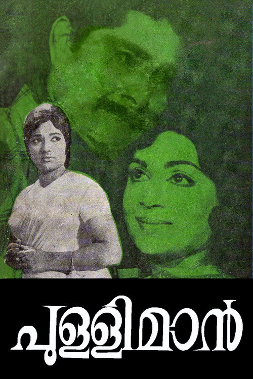 Pullimaan Poster