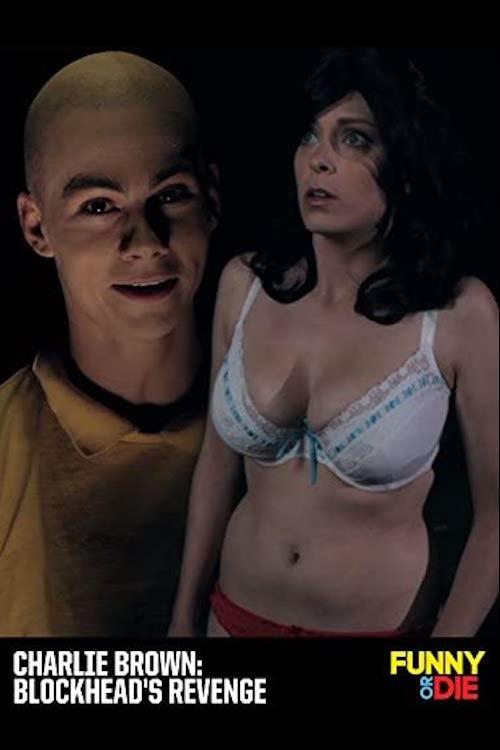 Charlie Brown: Blockhead's Revenge Poster