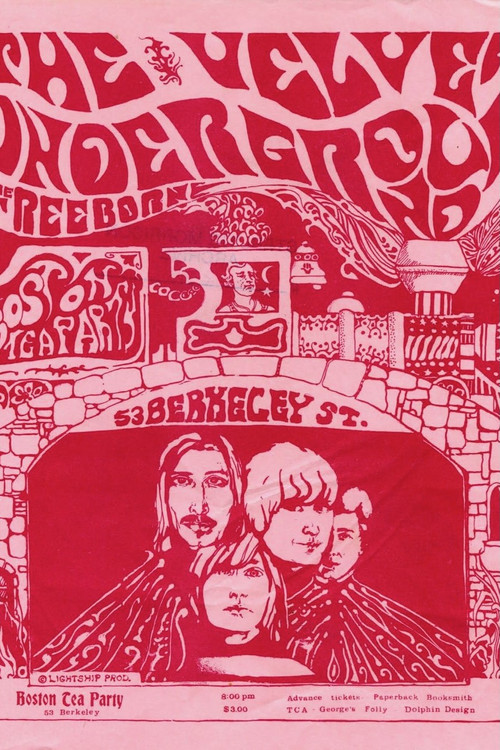 The Velvet Underground in Boston Poster