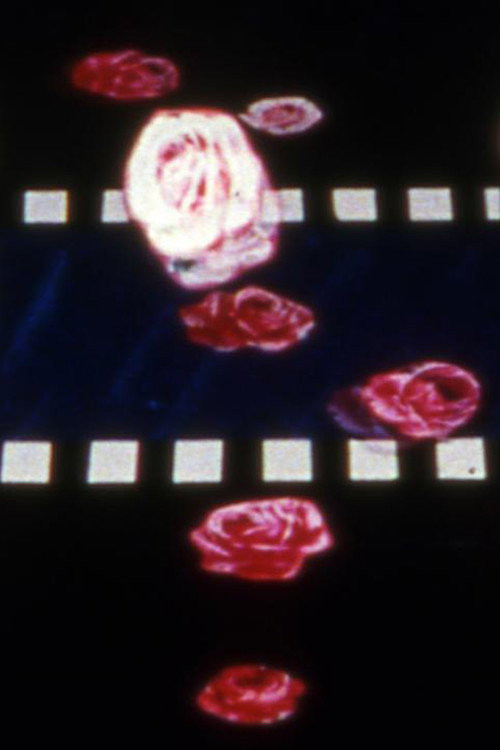 Eclipse Predictions Poster