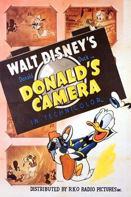 Donald's Camera Poster