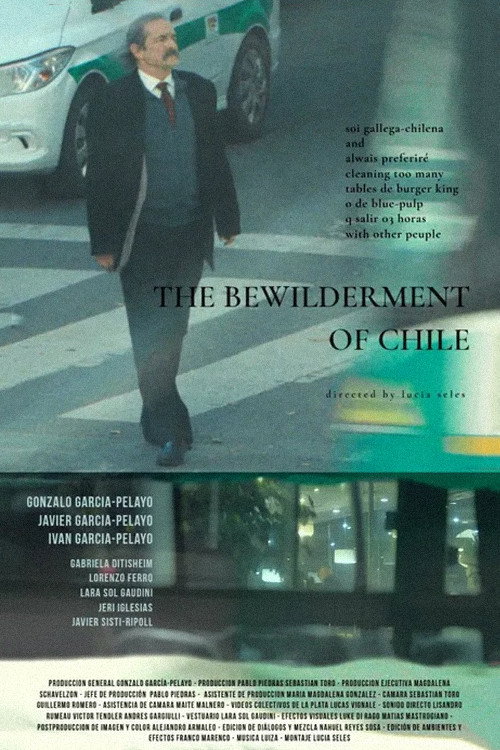 The Bewilderment of Chile Poster