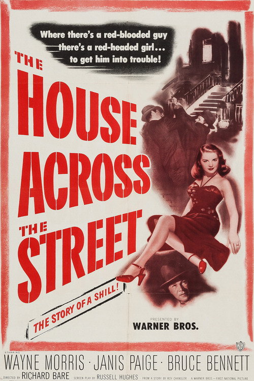 The House Across the Street Poster
