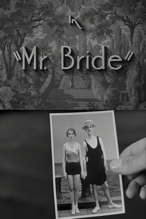 Mr. Bride Poster