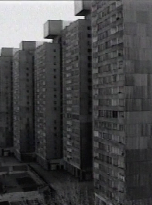 From My Window Poster