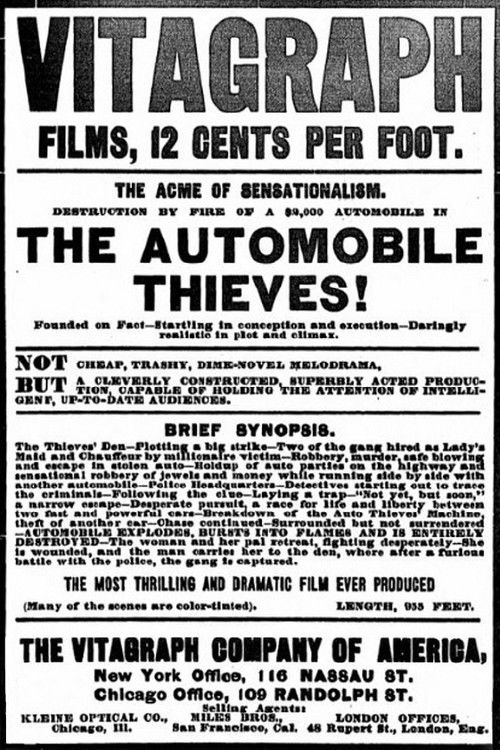 The Automobile Thieves Poster