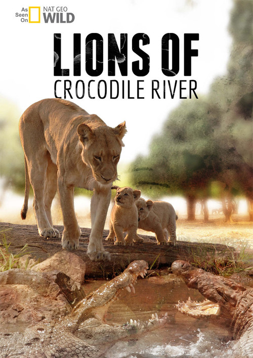 Lions of Crocodile River Poster