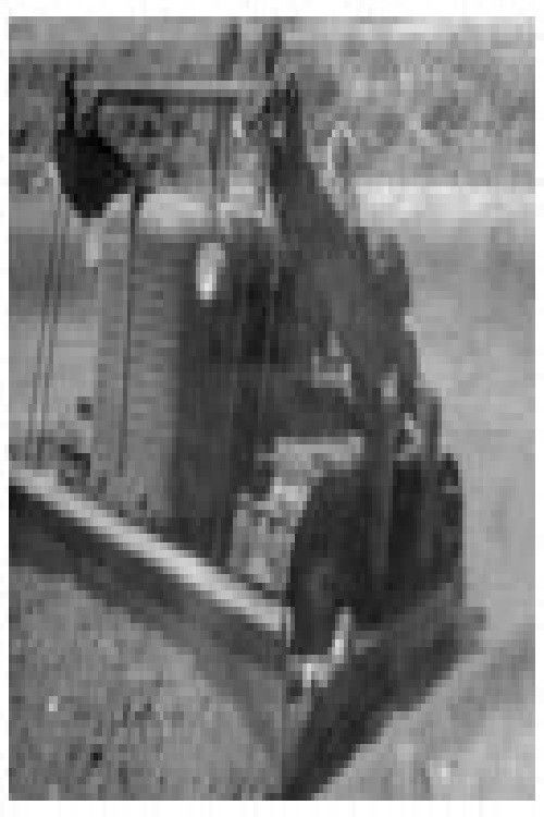 I, Blaga Micanova Poster