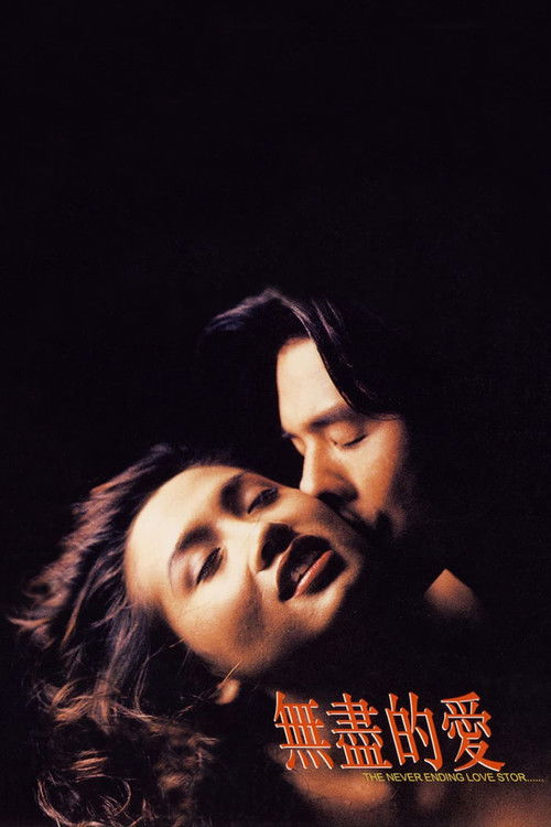 The Never Ending Love Story Poster