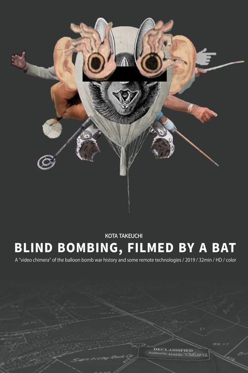 Blind Bombing, Filmed by a Bat Poster
