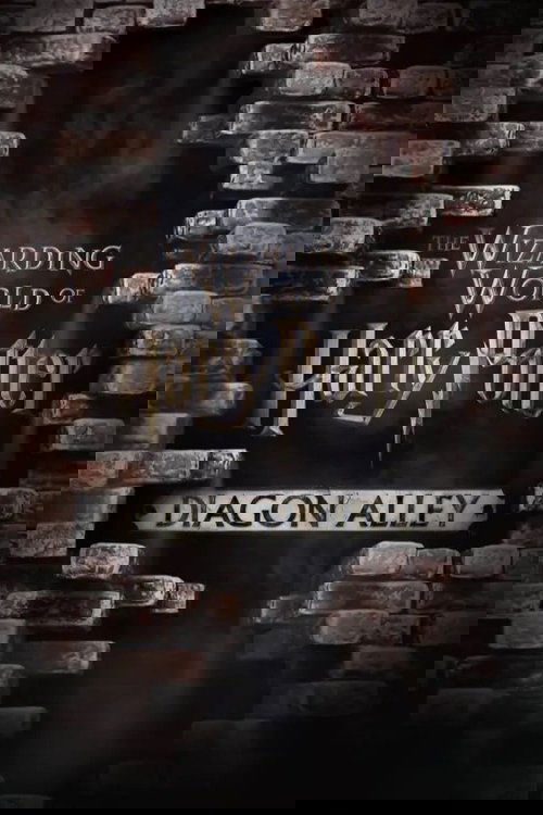 Harry Potter: The Making of Diagon Alley Poster