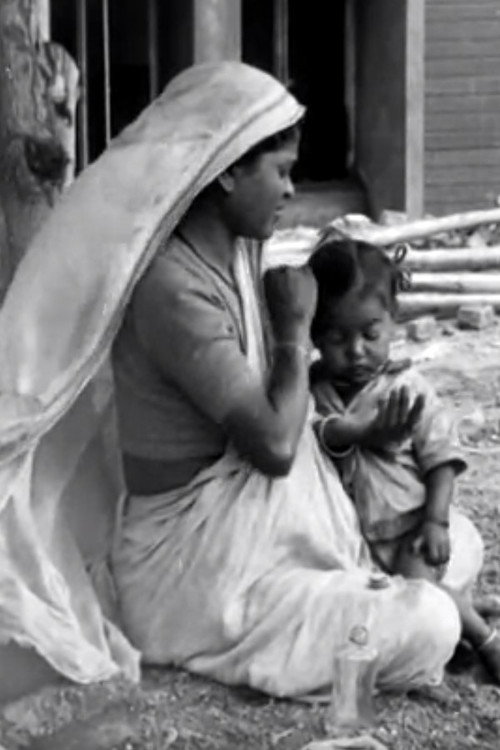 A Day with the Builders Poster