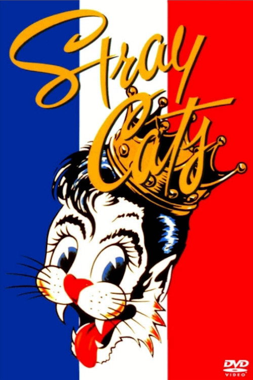 Stray Cats Rock Paris Poster