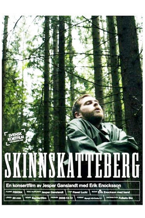 Skinnskatteberg Poster