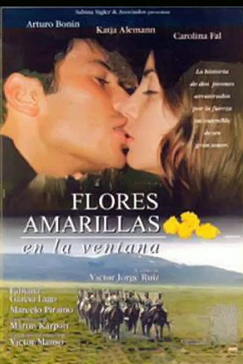 Flores amarillas en la ventana Poster