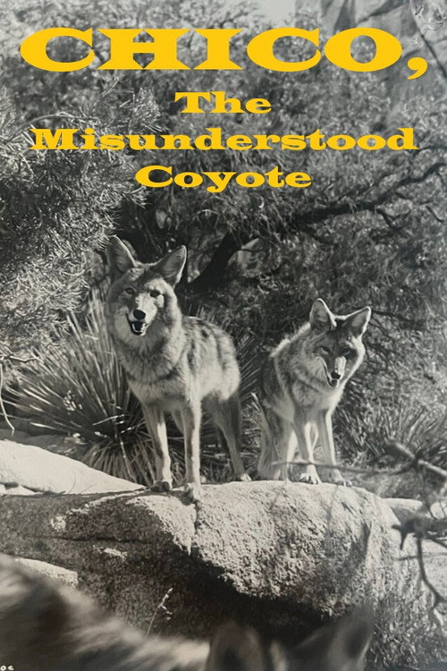 Chico, the Misunderstood Coyote Poster