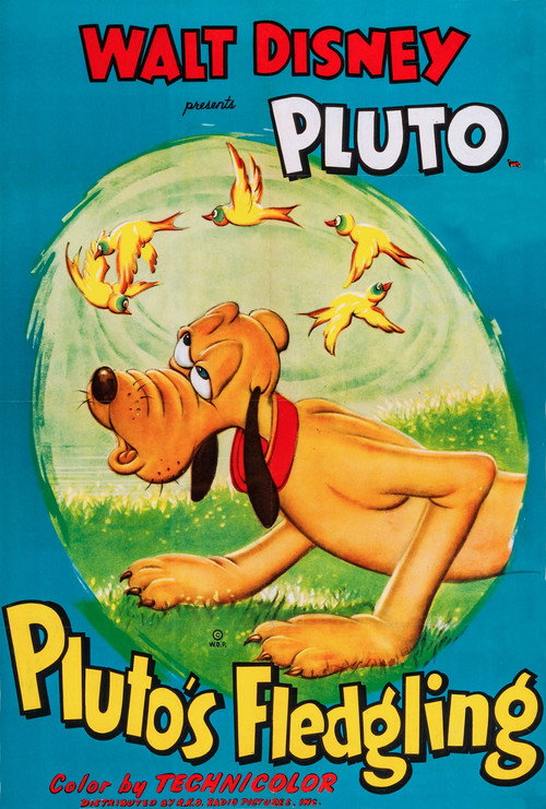Pluto's Fledgling Poster