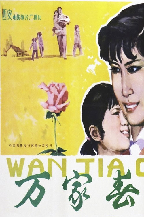 万家春 Poster