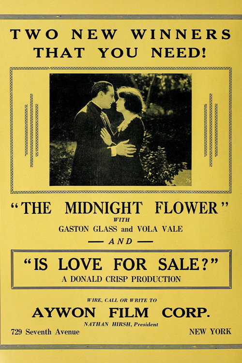 The Midnight Flower Poster