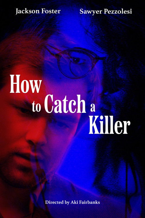 How to Catch a Killer Poster