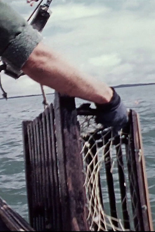 Lobsterman Poster
