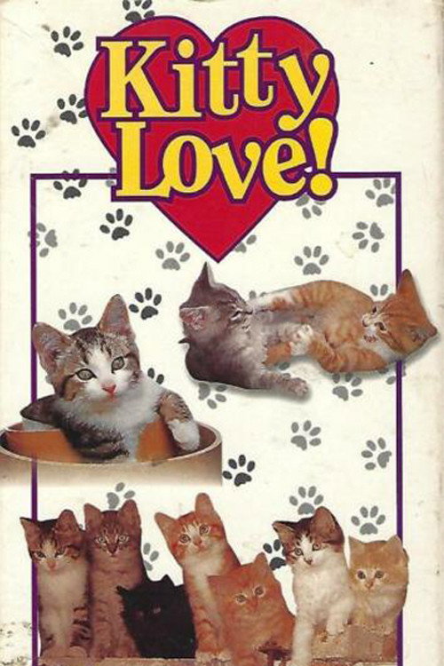 Non-Stop Kittens Poster
