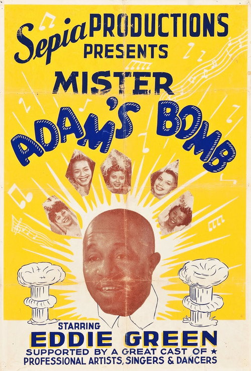 Mr. Adam's Bomb Poster