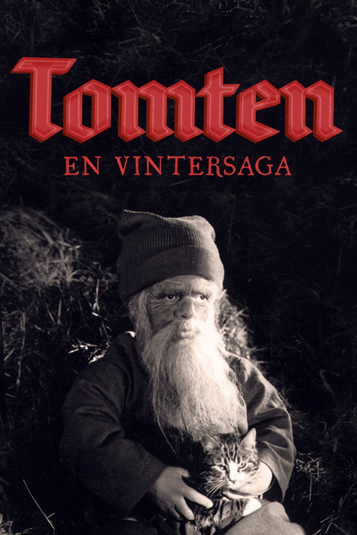 Tomten: A Winter Tale Poster