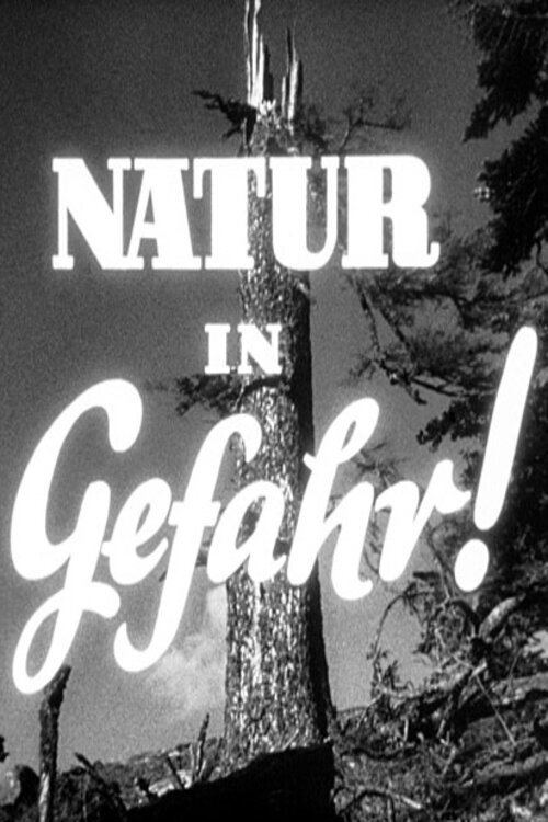 Natur in Gefahr Poster