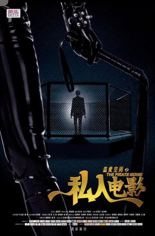 盗爱空间之私人电影 Poster