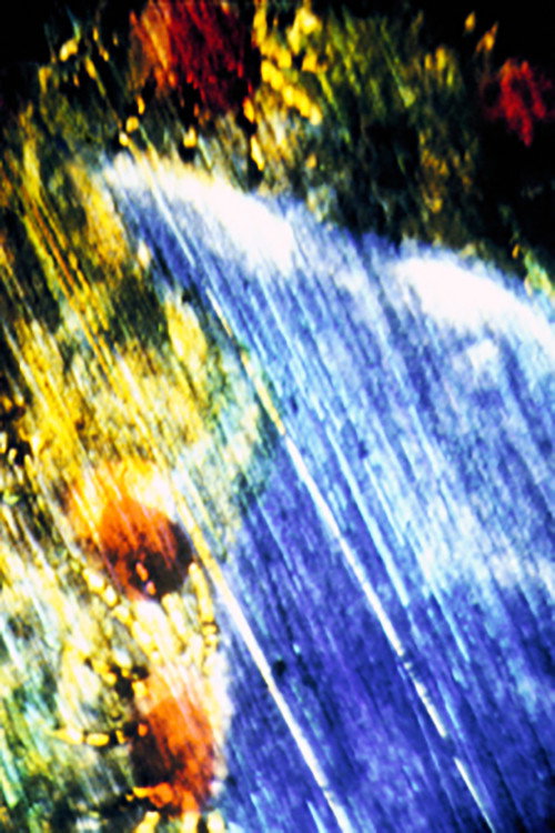 Unknown Woman Poster