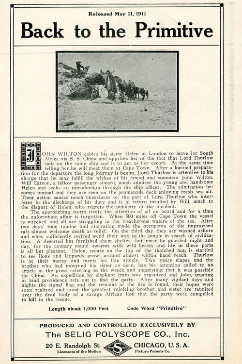 Back to the Primitive Poster